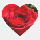 Pesquisar por corações e flores adesivos Qualquer pessoa