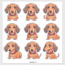 Pesquisar por dachshund adesivos Fofofo