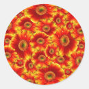 Pesquisar por gerberas adesivos Margarida