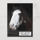 Pesquisar por cavalo marrom cartoes postais Equestre