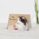 Pesquisar por animal lover cartoes convites Cat
