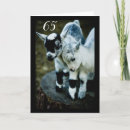 Pesquisar por cabra velha cartoes Amigo