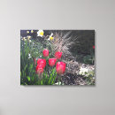 Pesquisar por tulipas impressão de canvas Flor