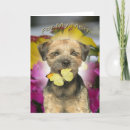 Pesquisar por best dog mom cartoes Mães