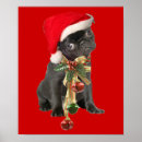 Pesquisar por pug preto pósteres Cães