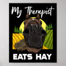 Pesquisar por equestre pósteres Trilha