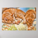 Pesquisar por gato de família pôsteres pósteres Para pets