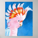 Pesquisar por neon pôsteres pósteres Aves