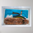 Pesquisar por céu do arco íris pôsteres pósteres Para todos