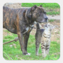 Pesquisar por amante bull terrier adesivos Qualquer pessoa