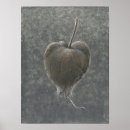 Pesquisar por monochrome pósteres Flower