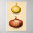 Pesquisar por flores do vintage pôsteres pósteres Fruta