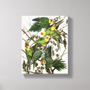 Pesquisar por arte passarinho impressão de canvas Vintage