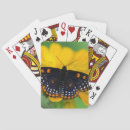 Pesquisar por butterfly baralhos Insect