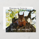 Pesquisar por amizade engraçada cartoes postais Qualquer pessoa