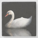 Pesquisar por cisne porta copos Pássaro