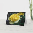 Pesquisar por yellow rose cartoes postais Natureza