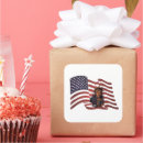Pesquisar por bandeira americana com adesivos Americano
