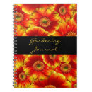 Pesquisar por gerberas Flor