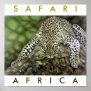 Pesquisar por safari pósteres Animais selvagens