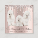 Pesquisar por colete cartao de visita Qualquer pessoa