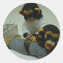 Pesquisar por macaco marrom adesivos Branco