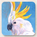 Pesquisar por cockatoo Mohawk