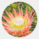 Pesquisar por flor nativa adesivos Austrália