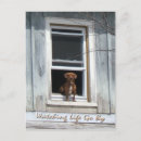 Pesquisar por bichos cartoes postais Cão