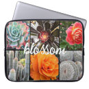 Pesquisar por cacto capas Flor