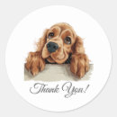 Pesquisar por cocker spaniel adesivos Sabonete inglês