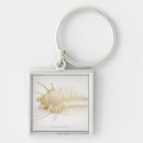 Pesquisar por cortado em 2 chaveiros Animal