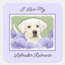 Pesquisar por labrador retriever adesivos Fofo