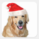 Pesquisar por golden retriever adesivos Amante do cão