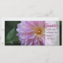 Pesquisar por dig cartoes Parabéns