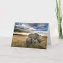 Pesquisar por vitelo cartoes Animais