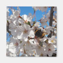 Pesquisar por banho imas Flores