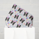 Pesquisar por border collie Canino