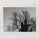 Pesquisar por solstício de inverno cartoes postais Lua
