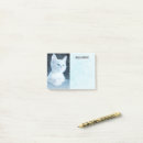 Pesquisar por gatos post its Felino