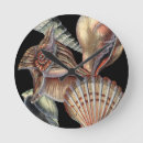 Pesquisar por recife relogios de parede Vida marinha