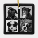 Pesquisar por animal ornamentos Animais de companhia