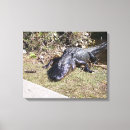 Pesquisar por jacaré impressão de canvas Répteis