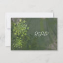 Pesquisar por ana convites Nostalgia