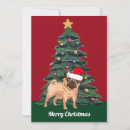Pesquisar por pug cartoes Fofo