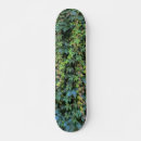 Pesquisar por planta skates Natureza