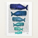 Pesquisar por baleia azul Sealife