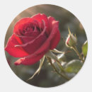 Pesquisar por símbolo do amor adesivos Noiva