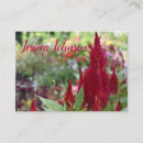 Pesquisar por garden fotografia Jardim