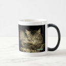 Pesquisar por internet canecas Colega de trabalho